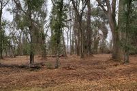 Undeveloped Land for sale in Jackson County, Florida