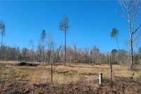 Property for sale in Beauregard Parish, Louisiana