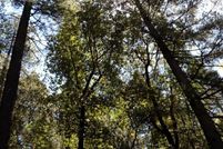 Property in Nevada County, California