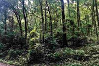 Property in Etowah County, Alabama