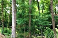 Property in York County, South Carolina