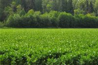 Property in Pierce County, Washington