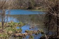 Property for sale in Carroll County, Arkansas