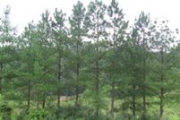 Property for sale in Pike County, Kentucky