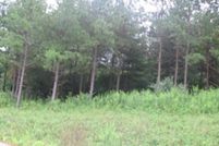 Undeveloped Land for sale in Pike County, Kentucky