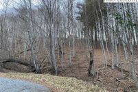 Property for sale in Alleghany County, North Carolina