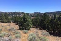 Undeveloped Land for sale in Grant County, Oregon