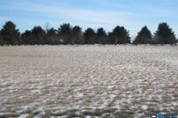 Property for sale in Pipestone County, Minnesota