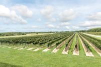 Property in Suffolk County, New York