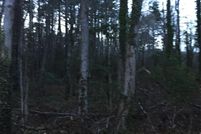 Property for sale in Accomack County, Virginia