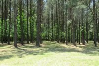 Undeveloped Land for sale in Somerset County, Maryland