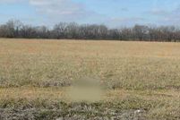 Undeveloped Land for sale in Livingston County, Kentucky
