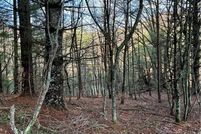 Undeveloped Land for sale in Ashe County, North Carolina
