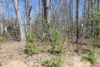 Property in Orange County, Virginia