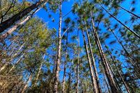 Property in Santa Rosa County, Florida