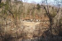 Property in Campbell County, Tennessee
