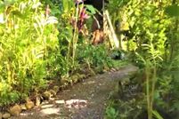 Property in Maui County, Hawaii