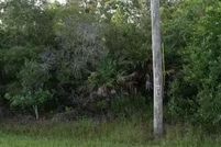 Property in Orange County, Florida