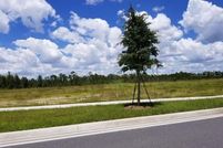 Undeveloped Land for sale in Orange County, Florida