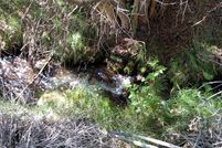 Property in Esmeralda County, Nevada