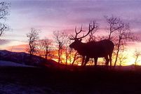 Property in Morgan County, Utah