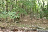 Property in Greene County, New York