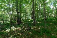 Property for sale in Preston County, West Virginia