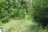 Undeveloped Land for sale in Iosco County, Michigan