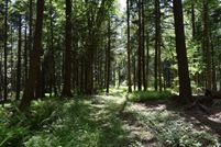 Property in Chautauqua County, New York