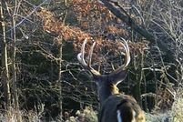 Property in Marquette County, Michigan