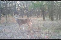 Property in Labette County, Kansas