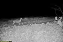 Property in Ozaukee County, Wisconsin