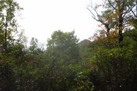 Property for sale in Swain County, North Carolina