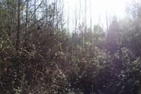 Property for sale in Warren County, North Carolina