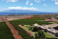 Property in Maui County, Hawaii
