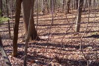 Property in Wythe County, Virginia