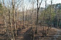 Undeveloped Land for sale in Winston County, Alabama