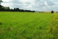 Undeveloped Land for sale in Escambia County, Alabama