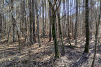 Property in Whitfield County, Georgia