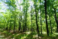 Property in Washington County, Alabama