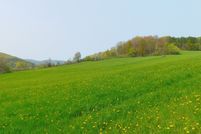 Property in Schoharie County, New York