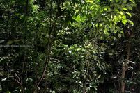 Property for sale in Broward County, Florida