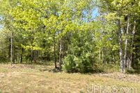 Undeveloped Land for sale in Delta County, Michigan