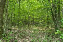 Property in Osceola County, Michigan