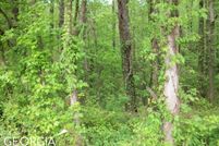 Undeveloped Land for sale in Walton County, Georgia