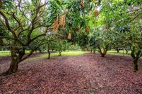 Property for sale in Miami-Dade County, Florida