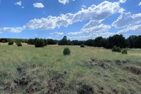 Undeveloped Land for sale in Apache County, Arizona