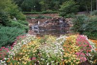 Undeveloped Land for sale in Madison County, Alabama