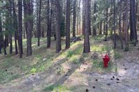 Property for sale in Plumas County, California