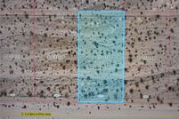 Property for sale in Nye County, Nevada